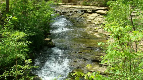 Saunders Springs Nature Preserve