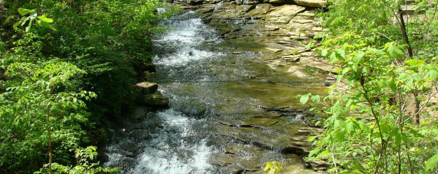 Saunders Springs Nature Preserve