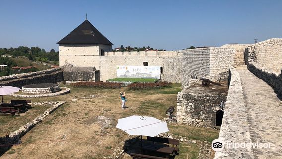 Tešanj Castle