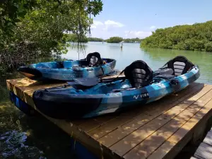 Kayak Adventures Key West
