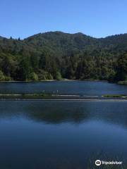 Lake Lagunitas