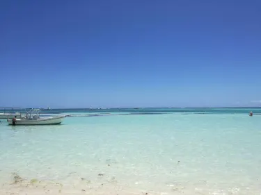 Palmar de Ocoa