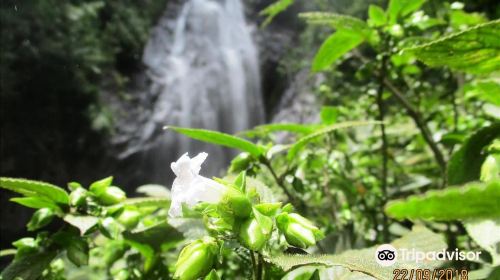 Mohini falls