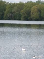 Ducklington Lake