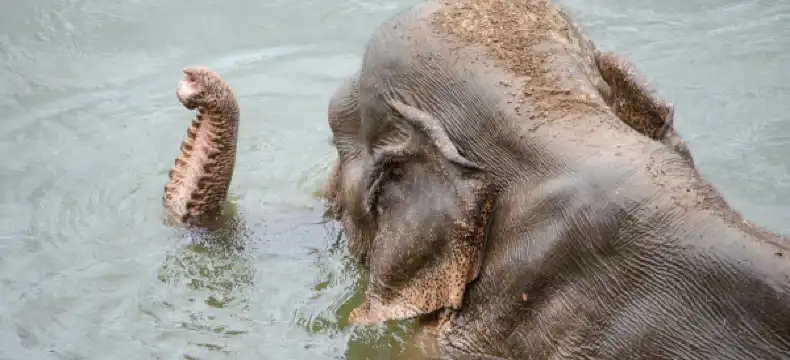 โรงแรมในตำบล กลอนโด