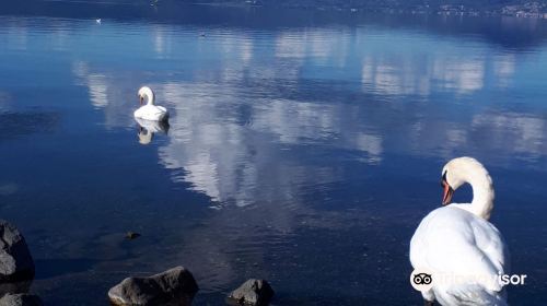 Lago di Bracciano