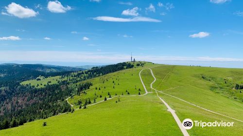 Feldbergturm