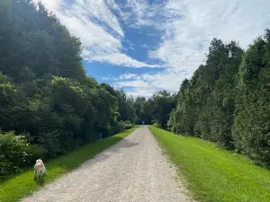 Fingal Wildlife Management Area