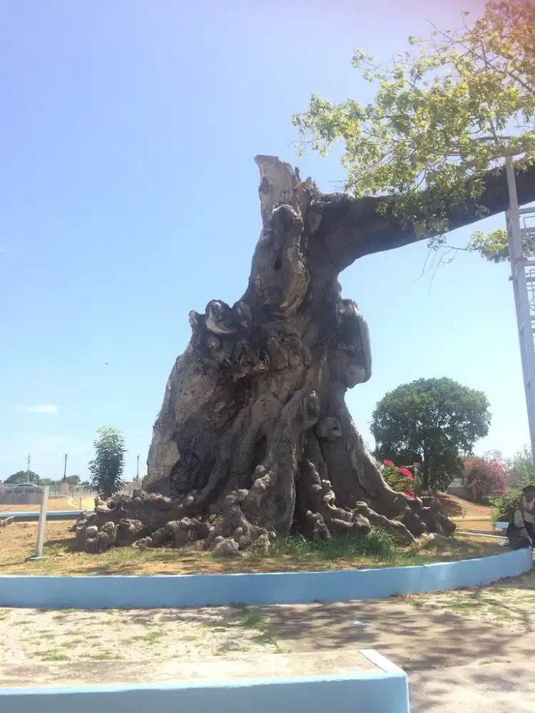 San Antón