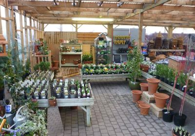 Dorney Court Kitchen Garden