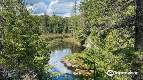 South Algonquin Trails