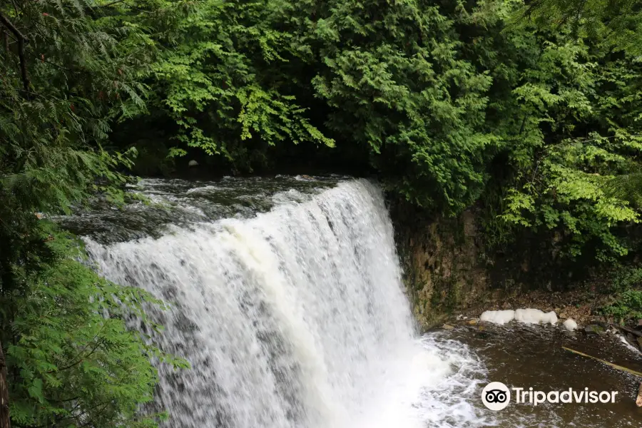 Hoggs Falls