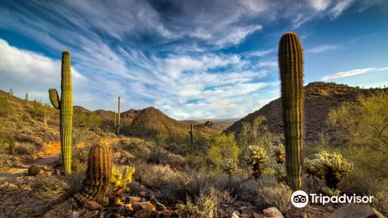 McDowell Sonoran Preserve