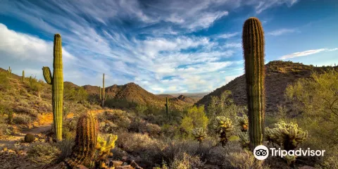 McDowell Sonoran Preserve