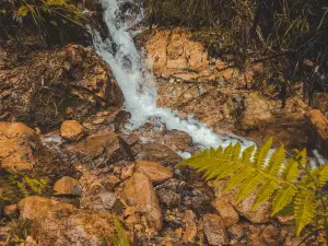 Monte Tapulao