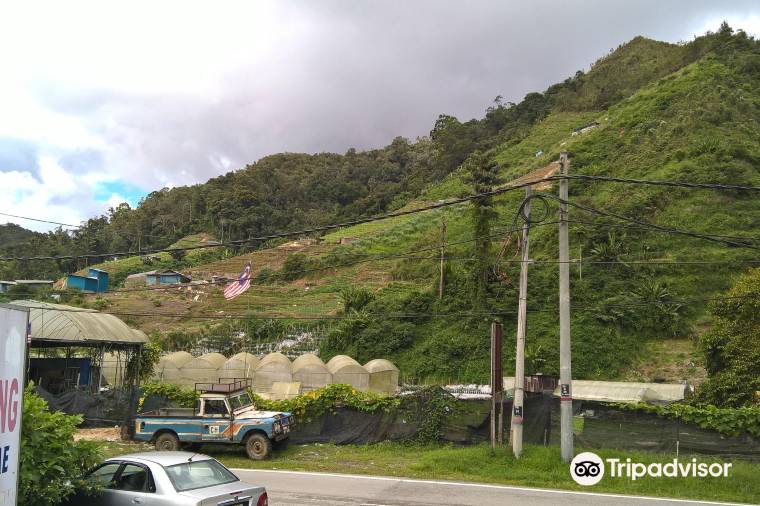 Highlands Apiary Farm, Bee Farm, Strawberry Farm