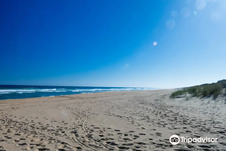 Lakes Entrance Beach