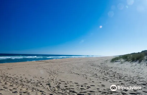 萊克斯恩特倫斯