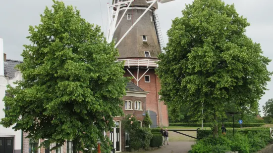 Molen Zeldenrust