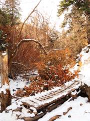 Adams Canyon Trail