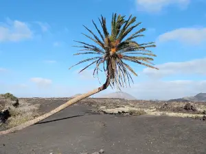 Volcan El Cuervo