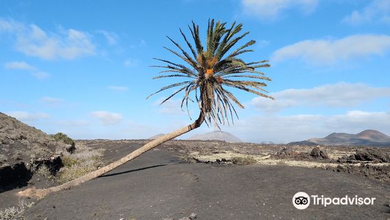Volcan El Cuervo