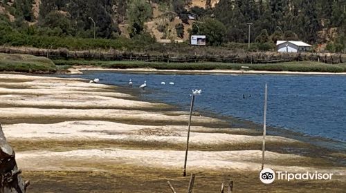 Salinas de Cahuil