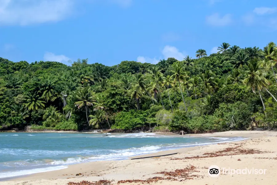 Boca da Barra