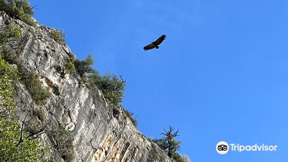 Sendero La Garganta Verde