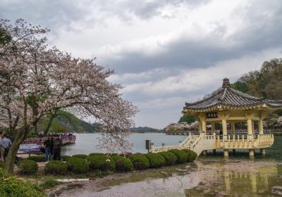 구미시