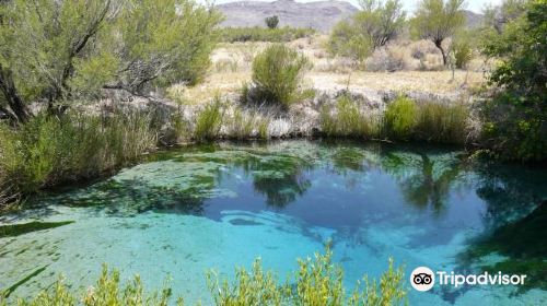 Ash Meadows National Wildlife Refuge