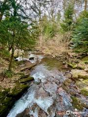 St Fergus's Well