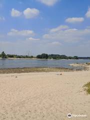 Himmelgeister Strand - NSG Himmelgeister Rheinbogen