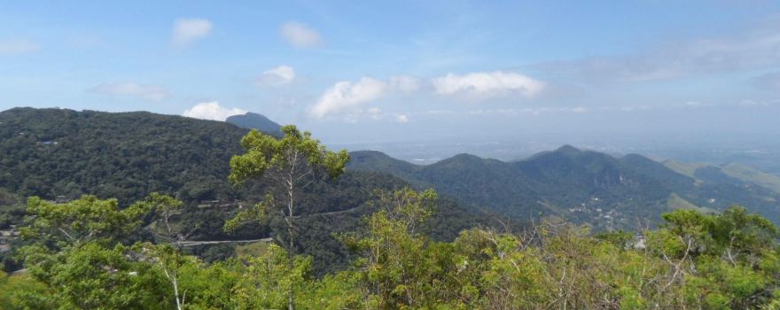 Parque São Vicente