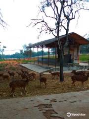 Tirumala Deer Park Reserve