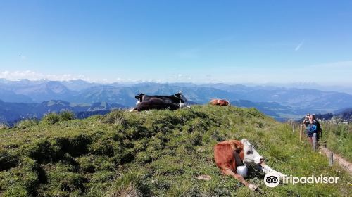 Hochgratbahn