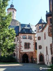 Schlossmuseum - Schloss Budingen