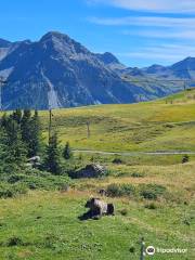 Arosa Bärenland