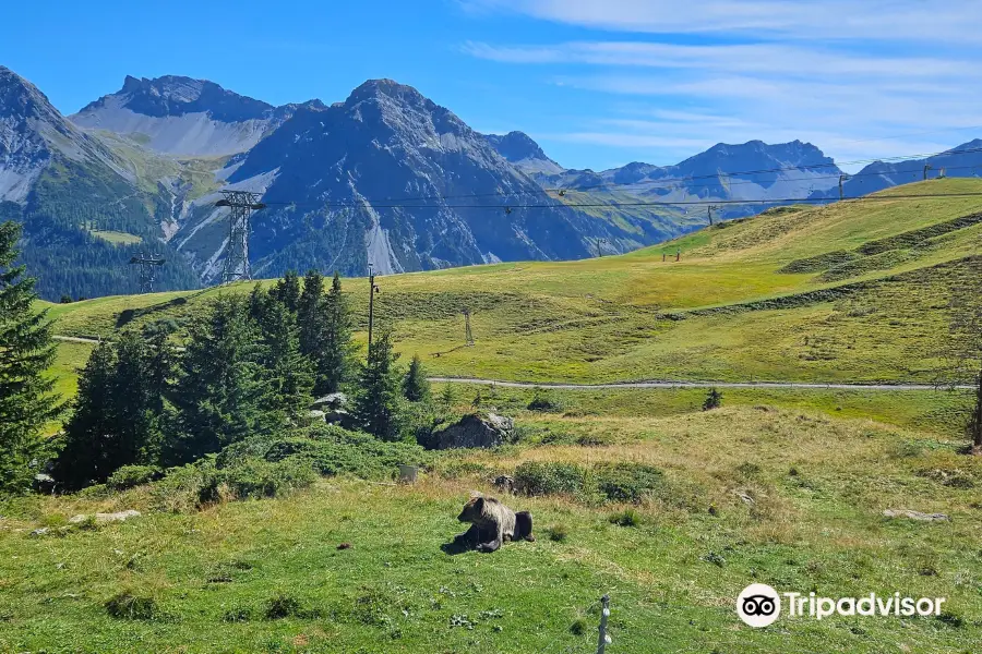 Arosa Barenland