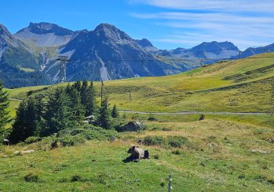 Arosa Barenland