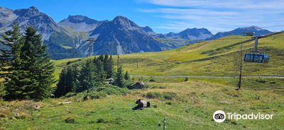 Arosa Barenland