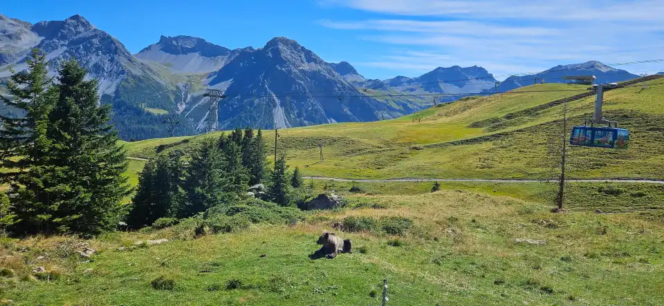 1_Arosa Barenland