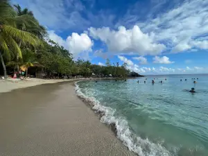 Anse Figuier