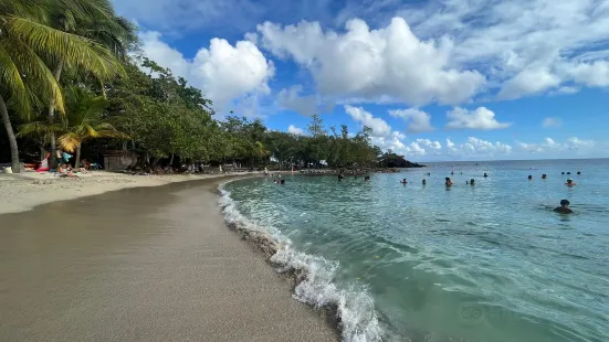 Anse Figuier