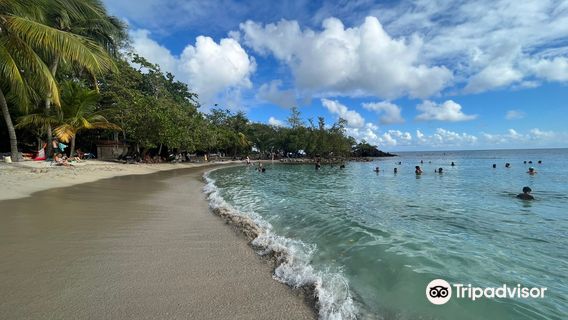 Martinique
