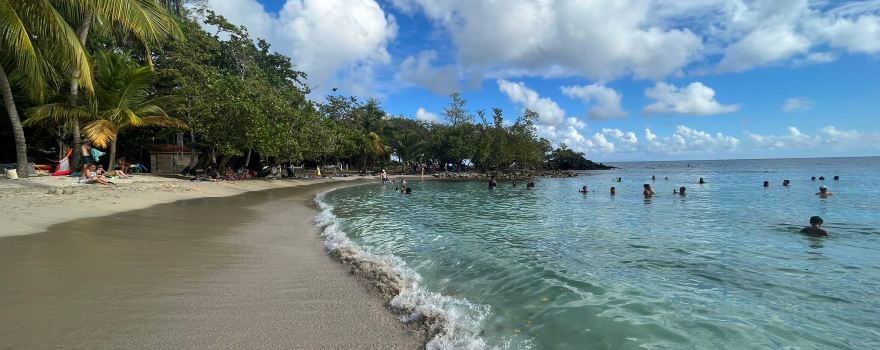 Anse Figuier