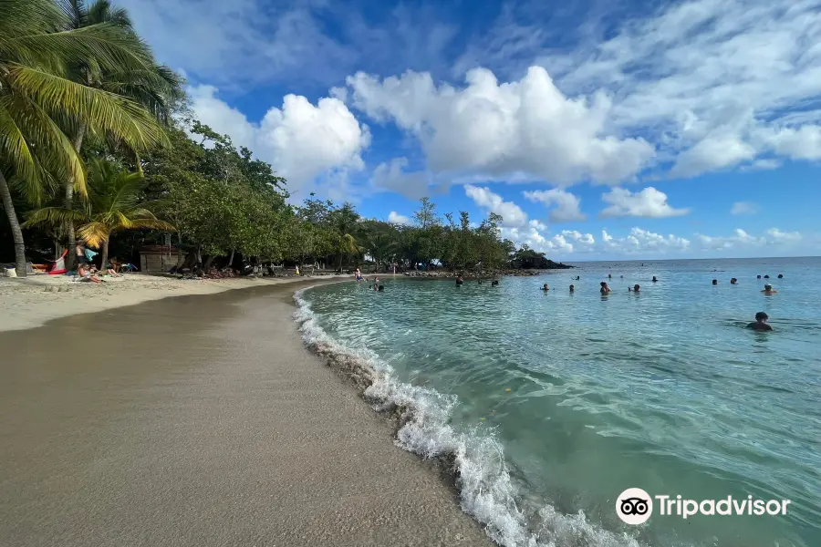 Anse Figuier