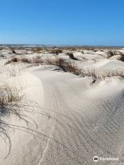 St Vincent National Wildlife Refuge