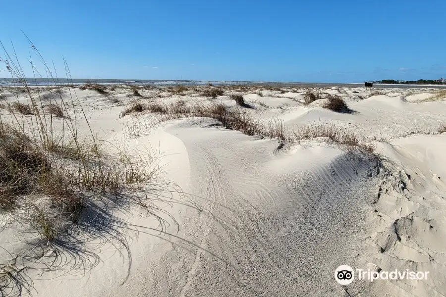 St Vincent National Wildlife Refuge