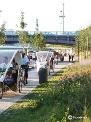 Cyclo City Tours Lyon, visites et vélo taxi